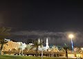 حديقه الملك عبدالله — صورة 11