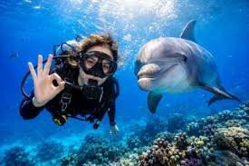 الرياضات المائيه — صورة 14