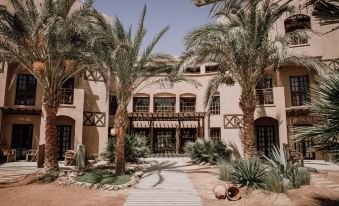 كوكس كلوب الجونة — صورة 2