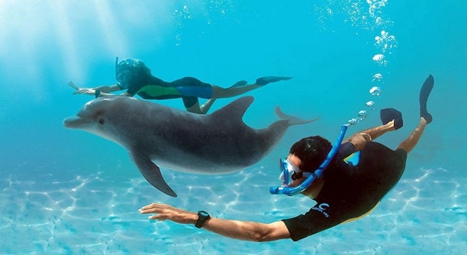 الغردقة 5 ايام — صورة 3