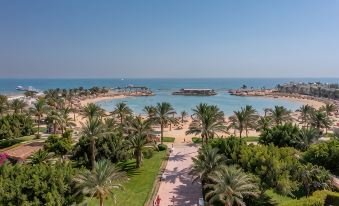 ديزرت روز — صورة 2