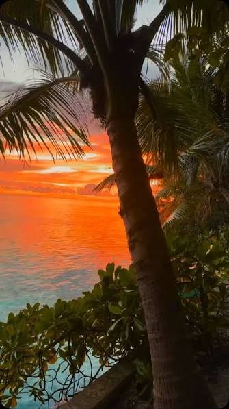 مشاهدة منظر الغروب — صورة 8
