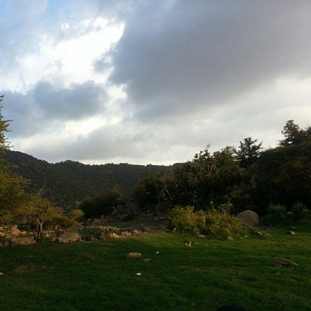 حديقة الامير سلطان — صورة 5