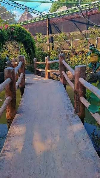 حديقة الفراشات — صورة 18
