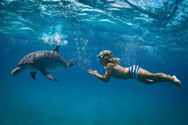 الغردقة 5 ايام — صورة 2