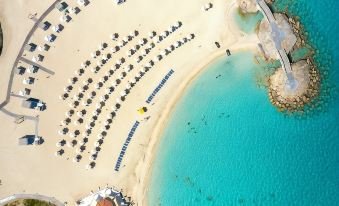 غزالة لاكشري كوليكشن العلمين — صورة 3