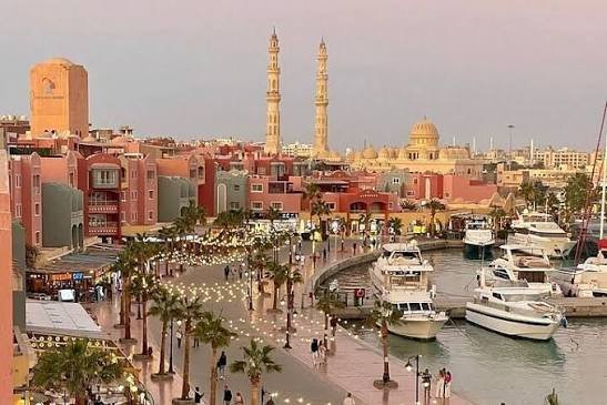 احياء مدينة الدهار