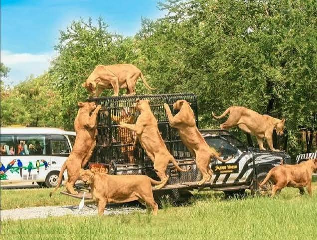 سفاري رورلد بانكوك — صورة 13
