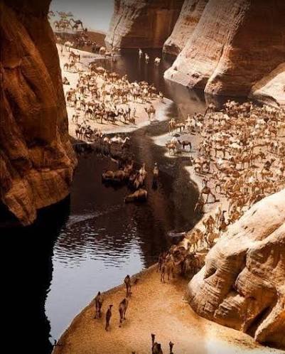 محمية وادي الجمال — صورة 7