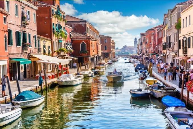 البندئيه الصغيره — صورة 18