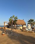 ZOUNi Beach - Mangroovy — صورة 3