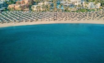 جاز أكوافيفا — صورة 3
