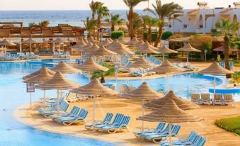 جاز بالماريفا بيتش — صورة 5