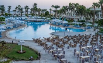 جاز رويال بالماريفا — صورة 4