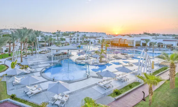 جاز شرم دريمز — صورة 8