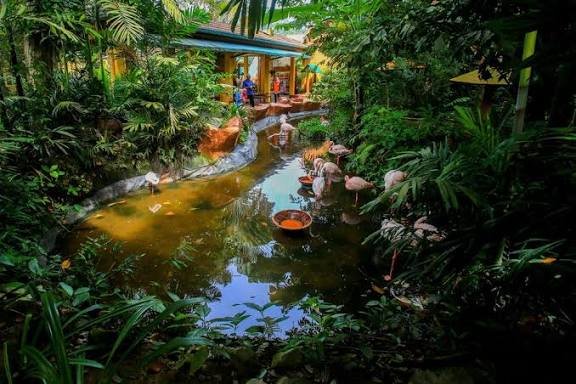 ماليزيا 9 ايام — صورة 12