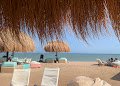 ZOUNi Beach - Mangroovy