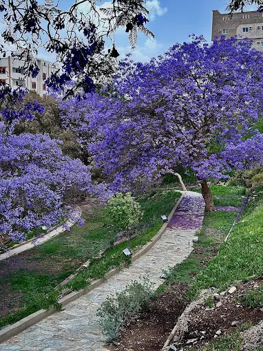 حديقة أبو خيال — صورة 2