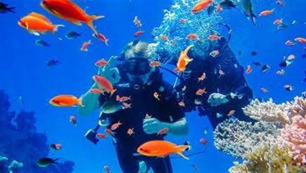 الغوص والسنوركلينج — صورة 3