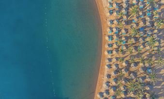 مارلين إن أزور — صورة 6