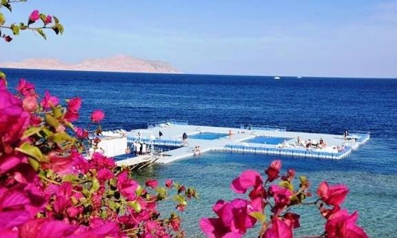 خليج القرش — صورة 3