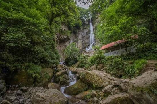 شلال الغابه — صورة 3