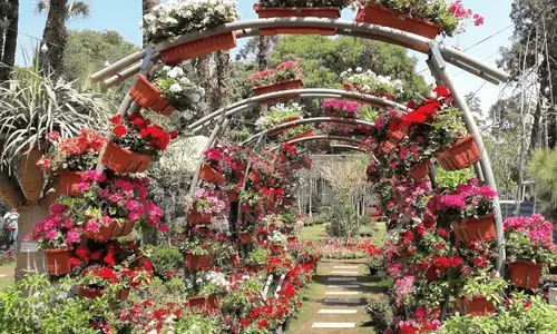 حديقة الاورمان — صورة 1