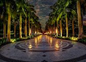 حديقة الازهر — صورة 1