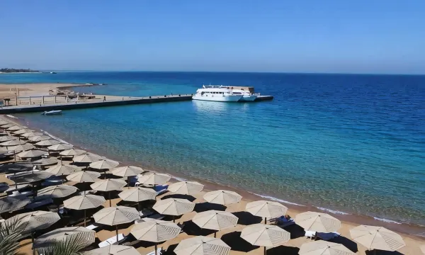 منتجع بالم بيتش للعائلات والأزواج فقط — صورة 7