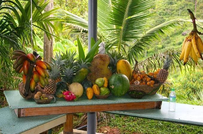 حديقة الفواكه — صورة 1