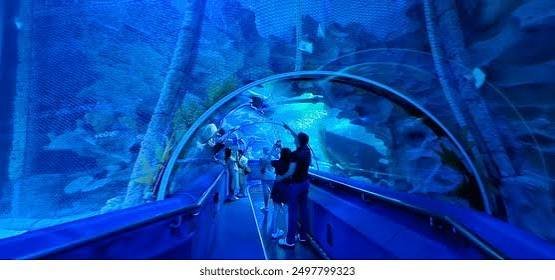 aquaria klcc — صورة 5