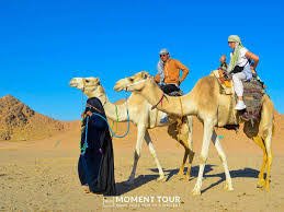 ركوب الجمال — صورة 4