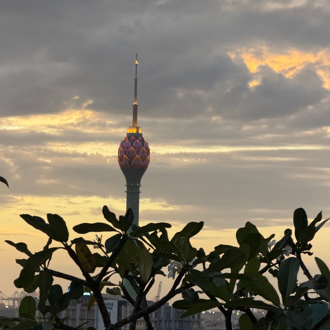 سيرلانـكا 7 ايام — صورة 17