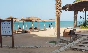 منتجع رويال بيتش الغردقة — صورة 6