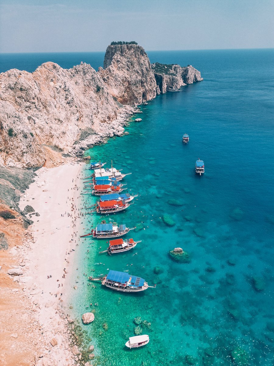 تجربة الحياه البريه — صورة 8