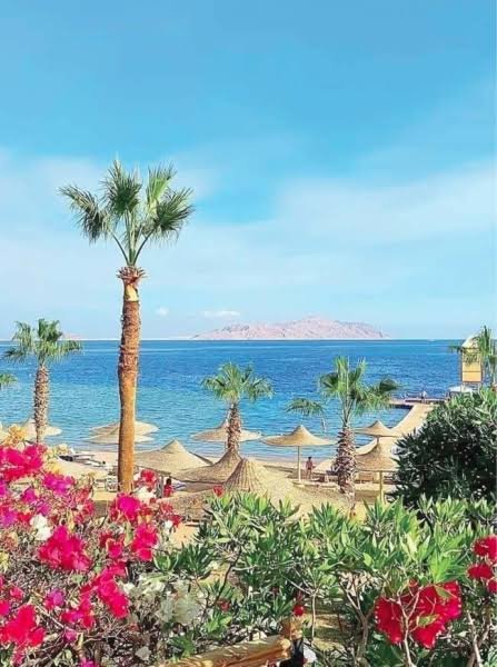 محمية نبق — صورة 15