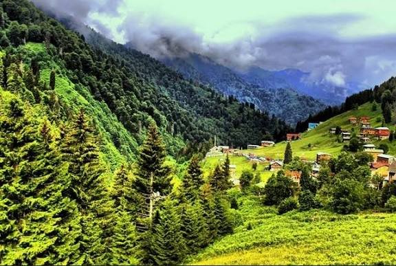 التنزه بين الغابات — صورة 13