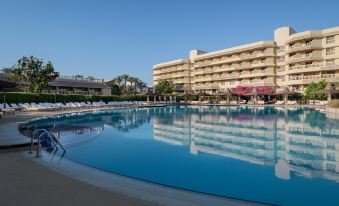 سندباد كلوب — صورة 2