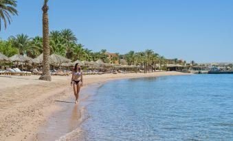 سندباد كلوب — صورة 5
