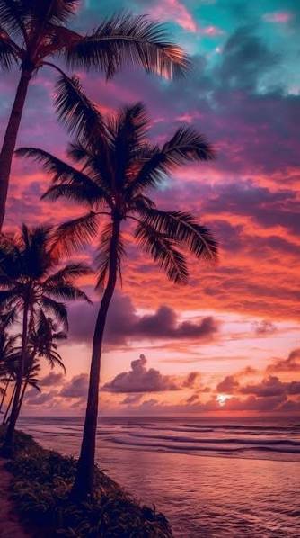 الشاطئ  الاستوائي — صورة 7