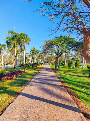 حديقة المنتزه — صورة 1