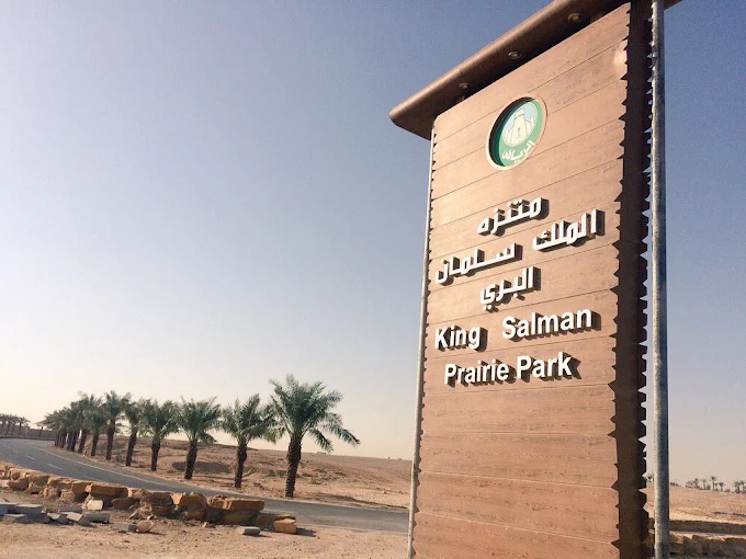 منتزه الملك سلمان البري — صورة 2