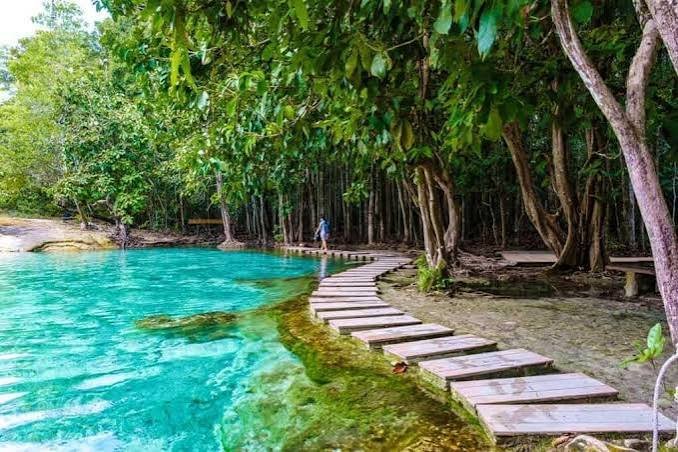 بحيرة وحديقة ايمرلاد — صورة 7
