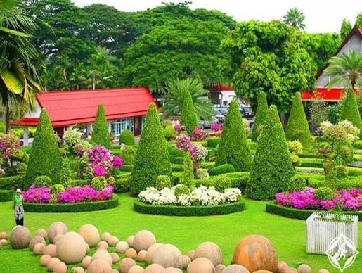 حديقة نونج نوتش الاستوائيه — صورة 1