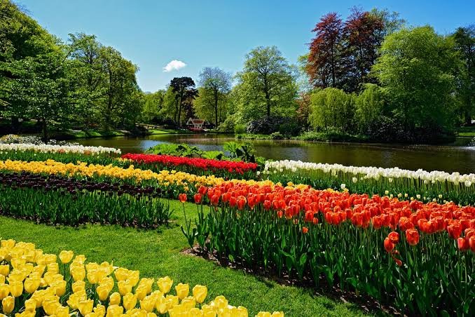 الحديقه النباتيه — صورة 6