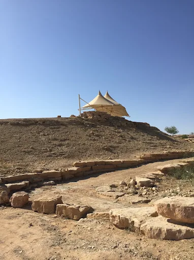 منتزه الملك سلمان البري — صورة 1