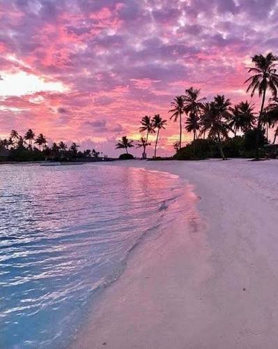 مشاهدة منظر الغروب — صورة 3