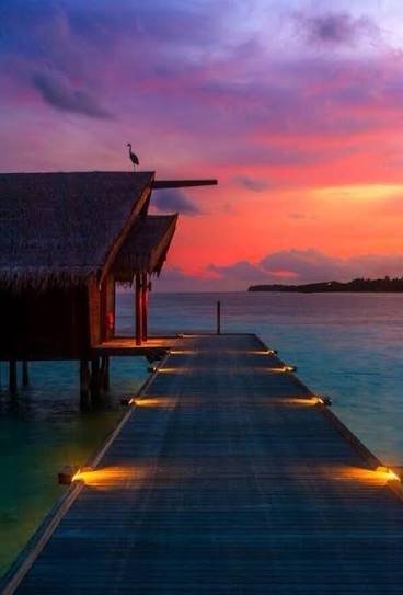 مشاهدة منظر الغروب — صورة 5