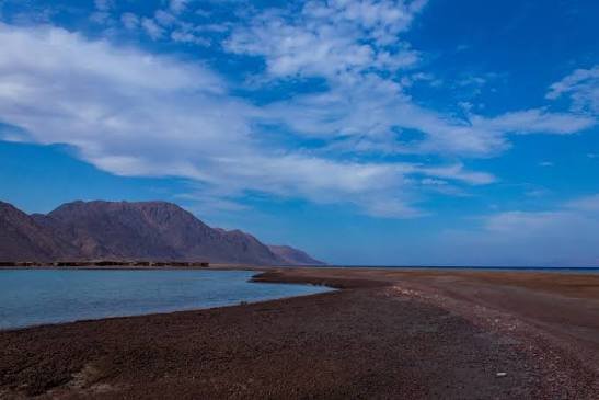 محمية ابو جالوم — صورة 4